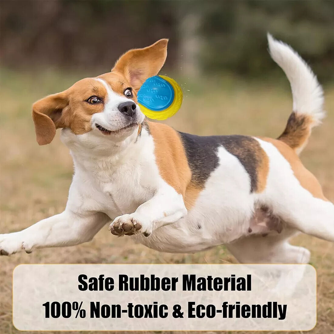 NEW Scooby-Doo Squeaky Set Of 8 Dog Balls For Teeth Cleaning Interactive UK — image 3