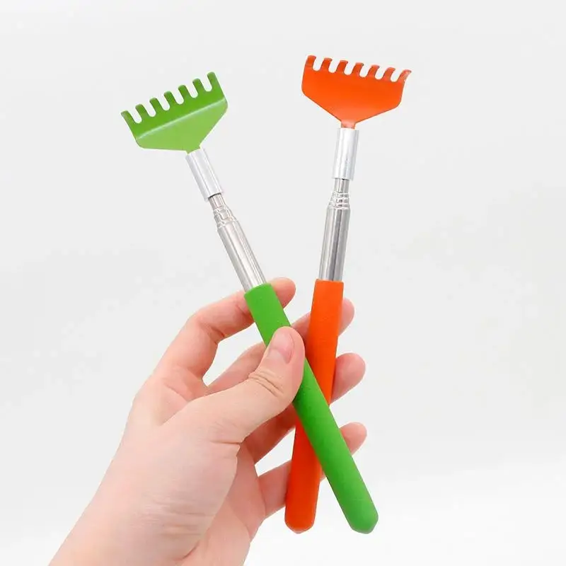 Cat Interactive Scratching Toy Massage Brush Pet