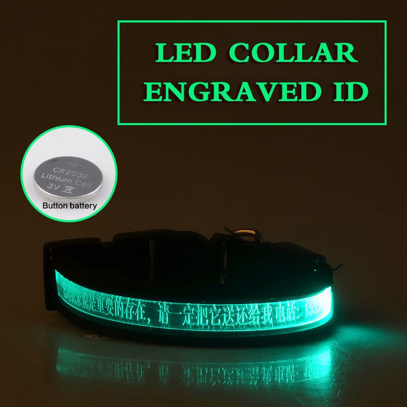 Pet Glow Collar Radium Carved Lettering Dog Collar Green - Shop at LoveMi