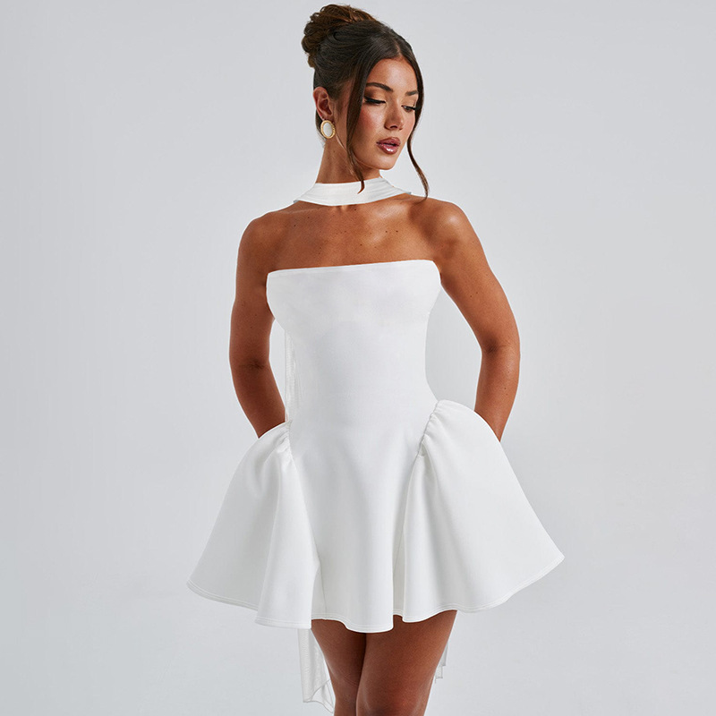 Sexy Tube Top Dress With Back Zipper Design Ins Fashion Short Dress For Party Cl - Picture 9 of 10