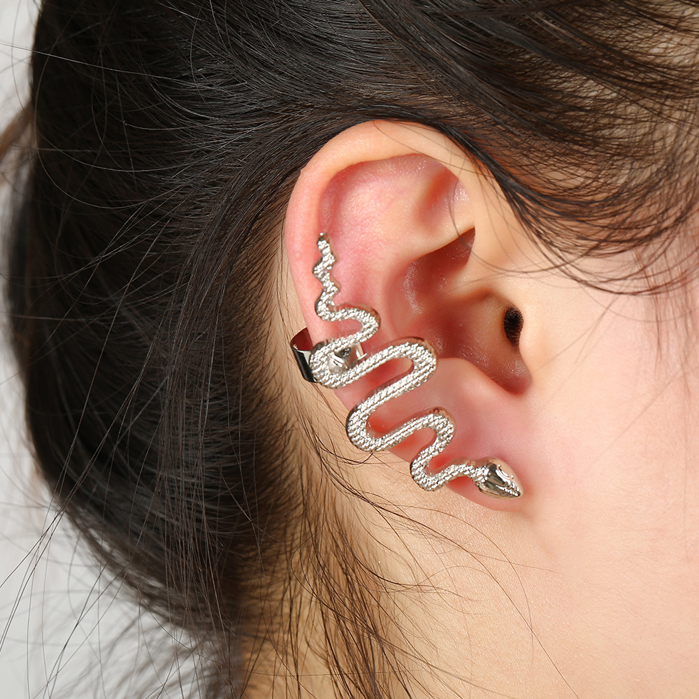Personalized Serpentine Design Necklace Earrings