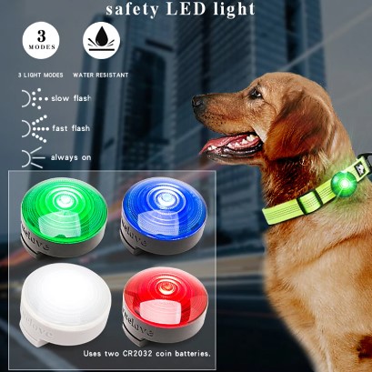 Lumière LED pour chien anti-lueur parasite la nuit