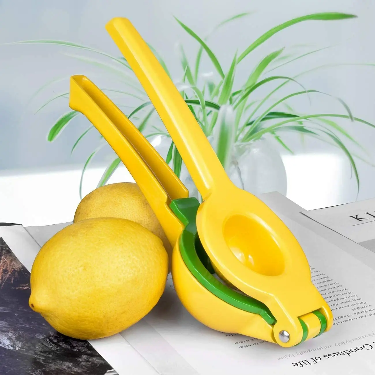 Heavy-Duty Metal Lemon Squeezer & Lime Juicer