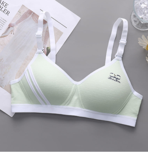 Title 2, Japanese Style Small Chest Push Up Bra