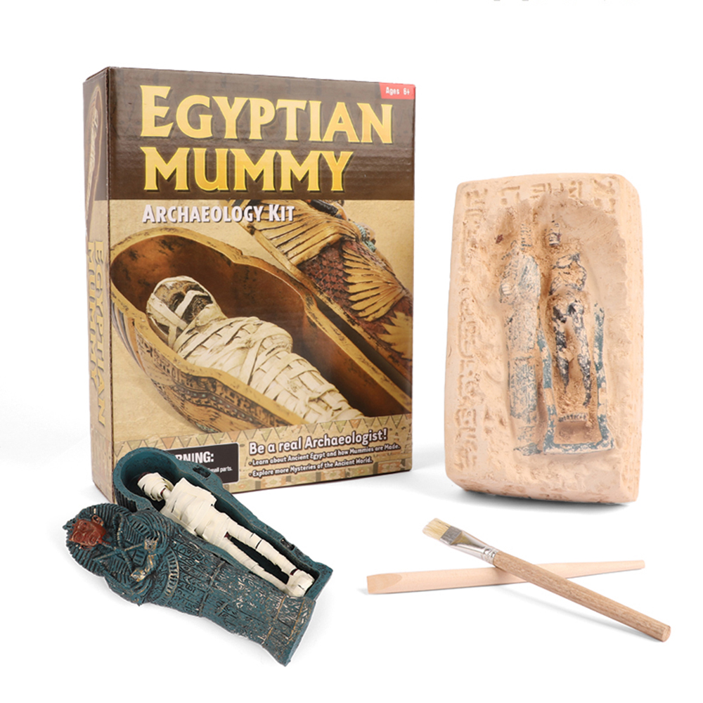 DGMY mummy excavation