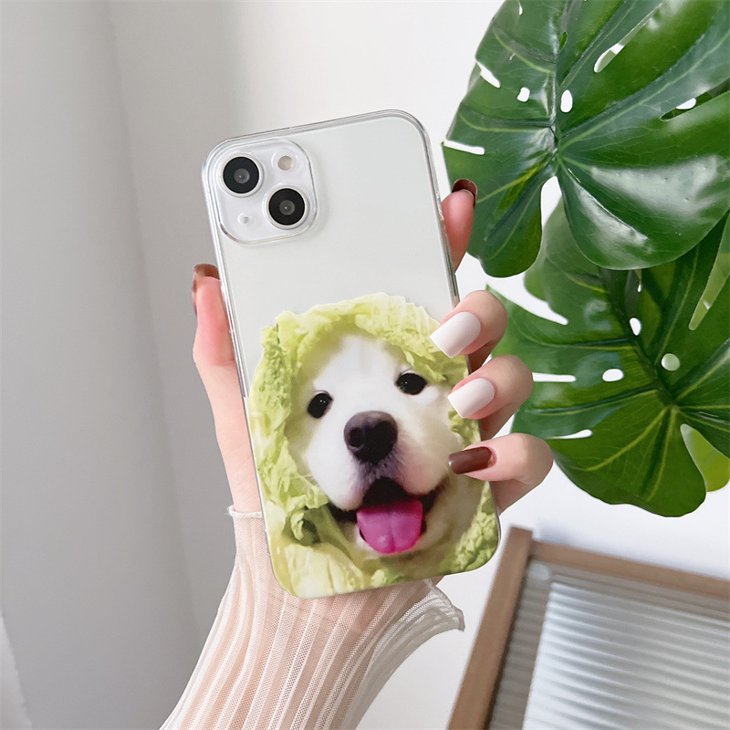 Transparent cabbage dog