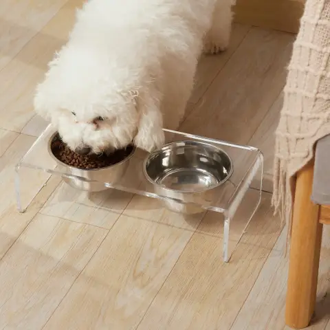 Acrylic Dogs and Cats Pet Feeder Small Cat Dog