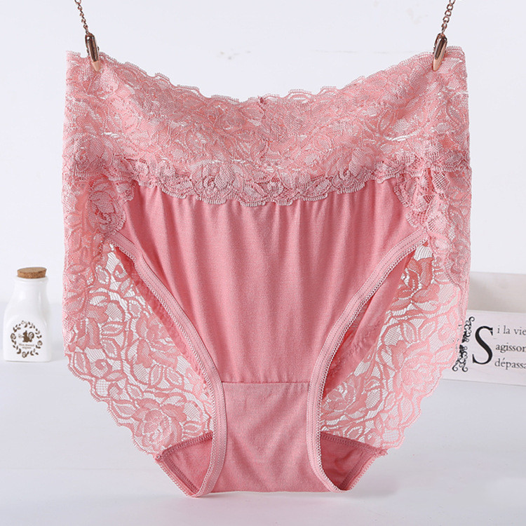 Title 10, Womens Plus Size Modal Lace Panties Everyday C...