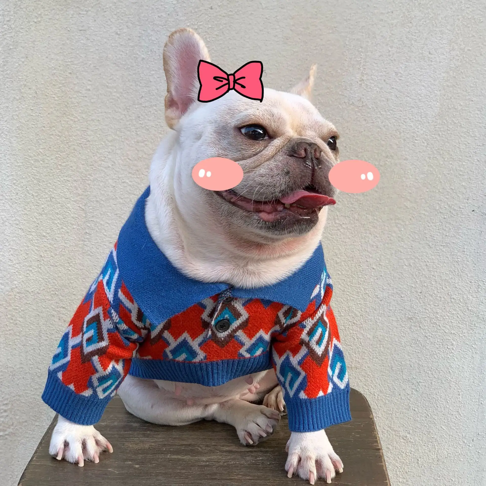 Pet Fashion Brand Clothes Dog Cat Fight