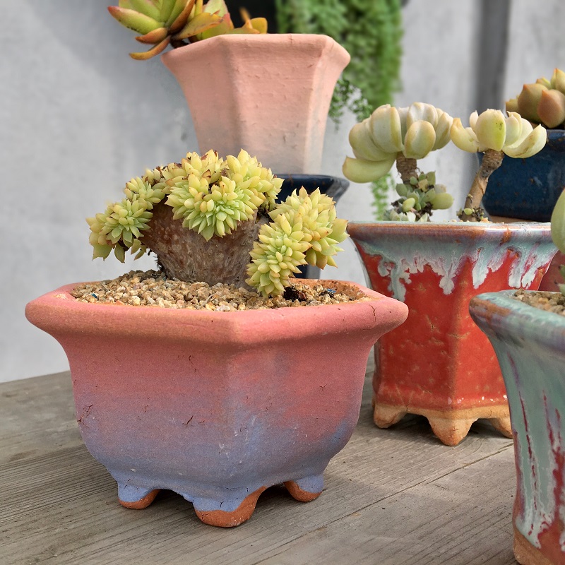 Succulent Flower With Square Mouth And Feet Breathable And Anti-rotten Root Square High Pot