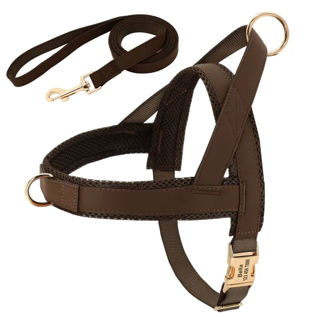 Personalized Dog Harness Leash Set Coffee - Shop at LoveMi