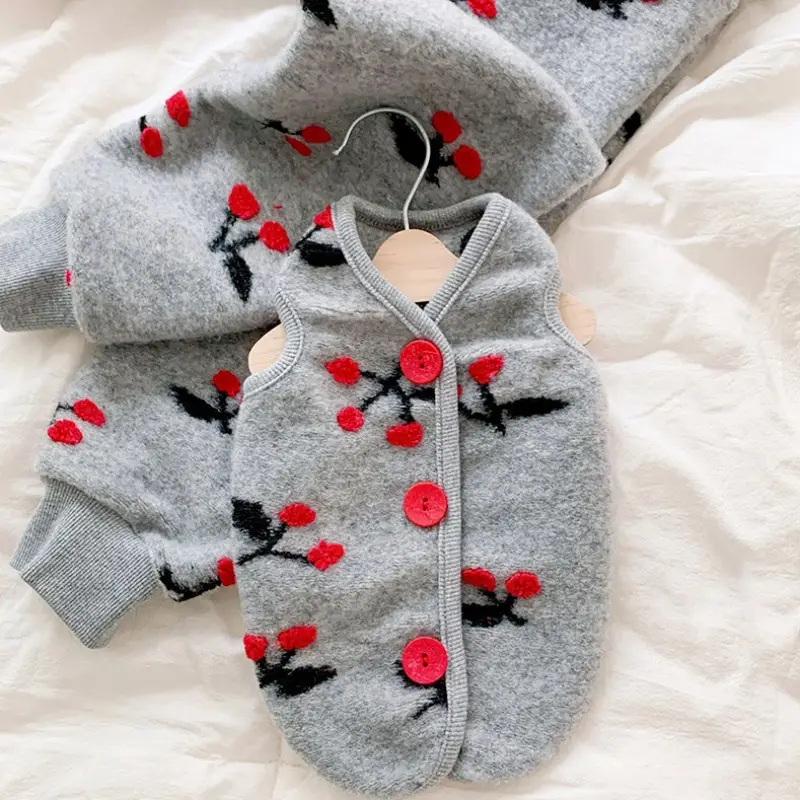 Pet Pomeranian Small Puppy Spring And Autumn Two Feet Clothes