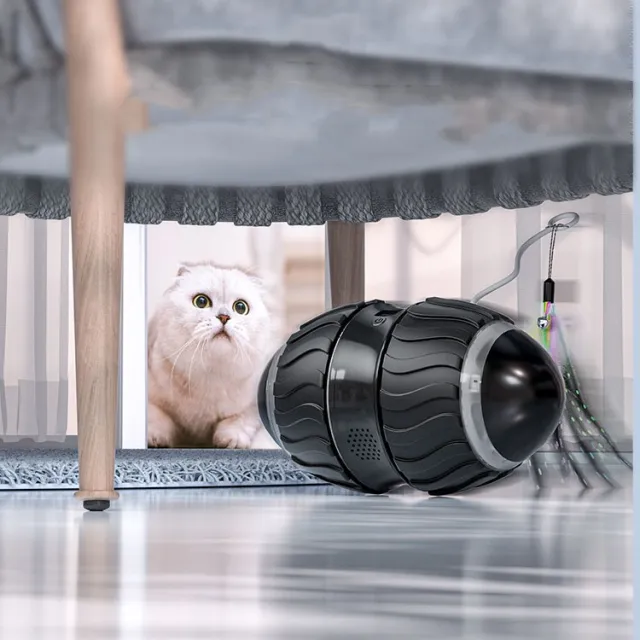 Electric Intelligent Cat Teaser Black - Shop at LoveMi