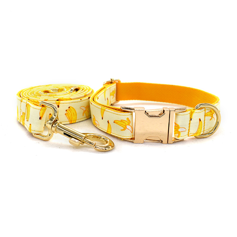 Collar And Traction Rope