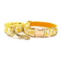 Collar And Traction Rope