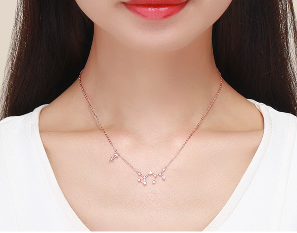 Zodiac Necklace S925 Silver Rose Gold