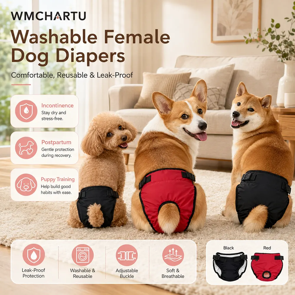 New Female Dog Physiological Pants Outdoor Anti-Harassment Anti-Urine Anti-Pregnancy