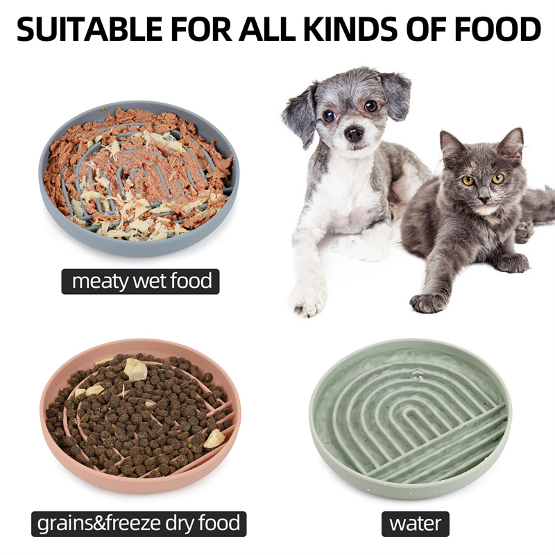 pet-slow-food-bowl