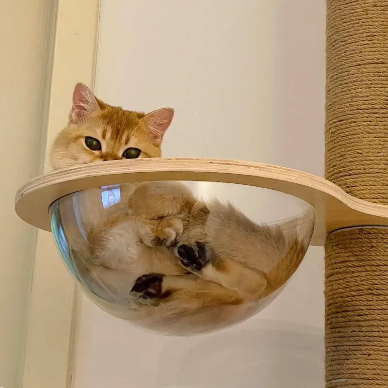 DIY Cat Climbing Frame Self-made Material