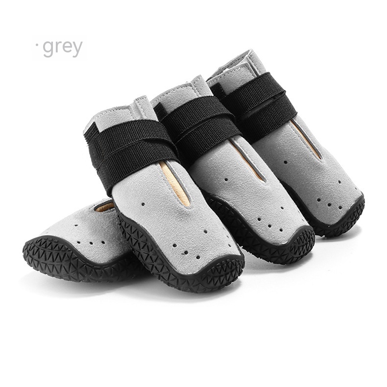 Title 3, Four Seasons With Holes Pet Shoes