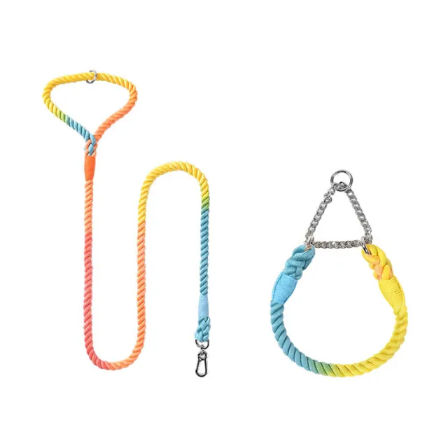 Woven Cotton Pet Dog Leash Collar Set Rainbow Silver - Shop at LoveMi