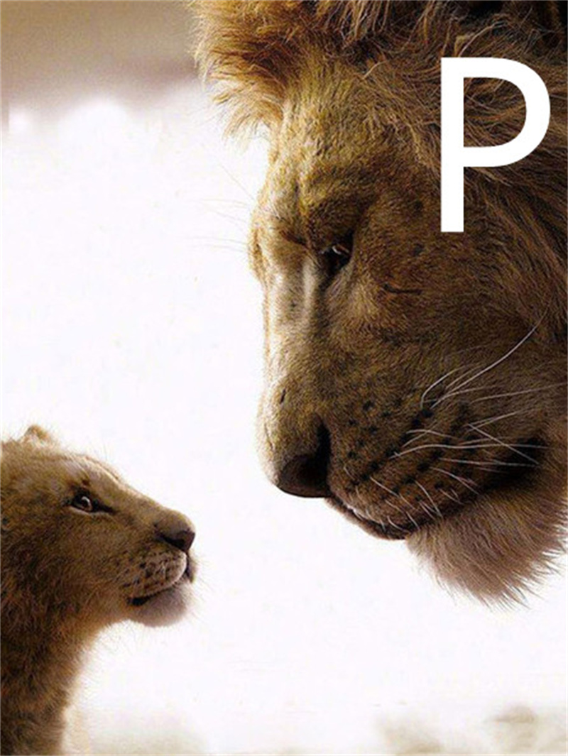 5D Diamond Embroidery Lion Animal Cross Stitch