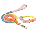 Rainbow Color