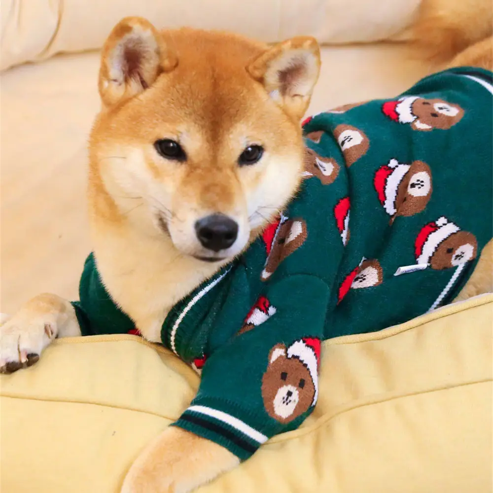 Sweater Dog Festive Festival Red