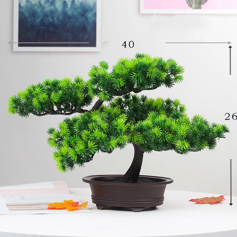 Beauty Pine