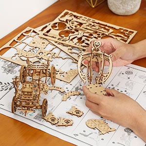 Title 3, ROBOTIME Wooden 3D Puzzle, Mechanical Model Kit