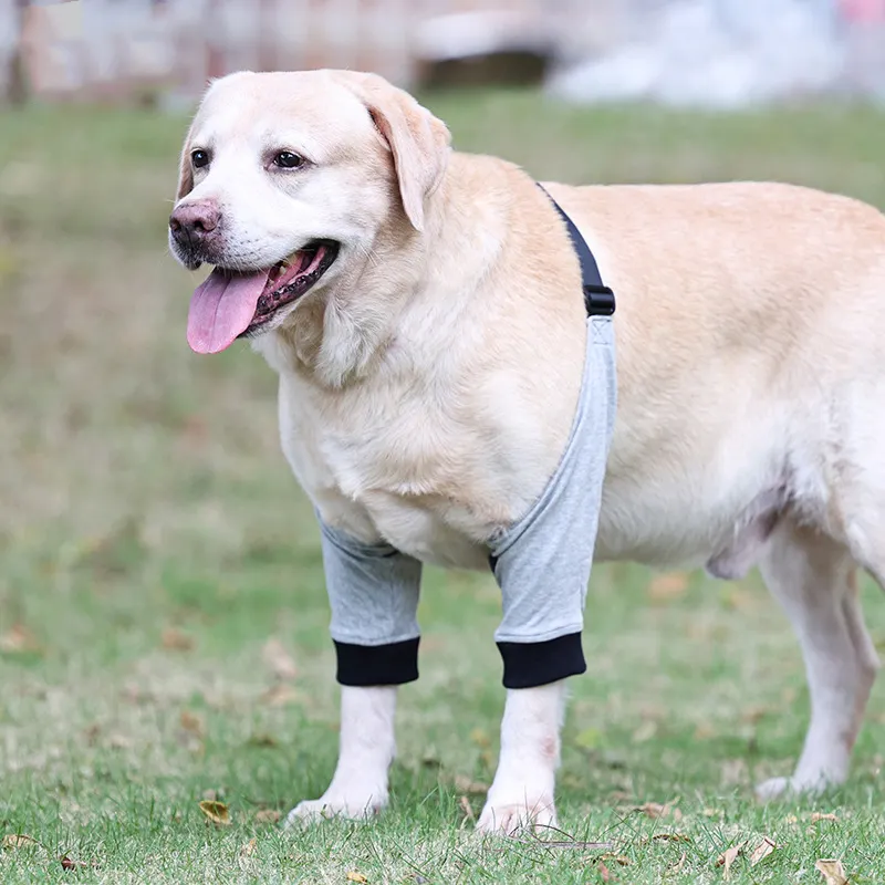 Dog Front Leg Protective Cover Injured Cotton