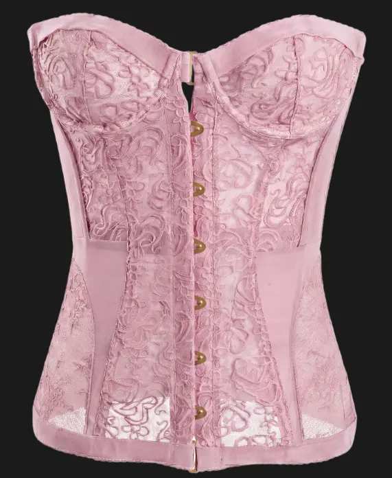 Sexy Lace Corset Top
