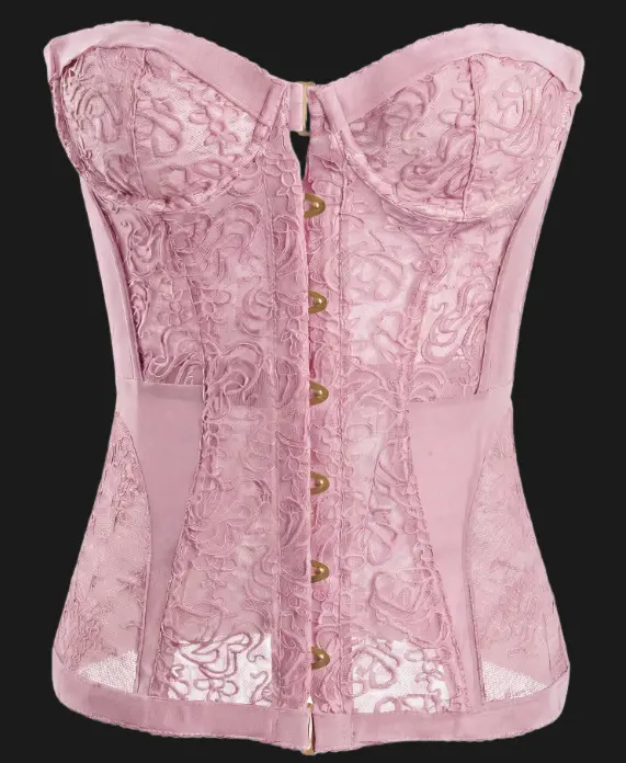 Sexy Lace Corset Top, Hot Girl Sweet-cool