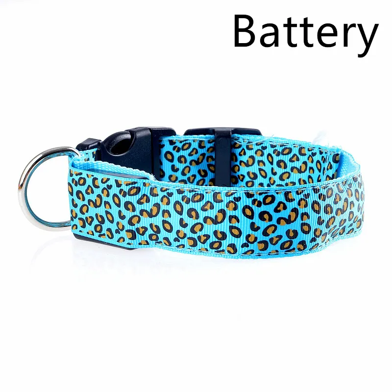 Rechargeable LED Dog Band - Blue