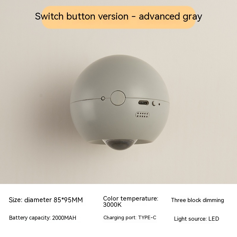 Switch Button Gray