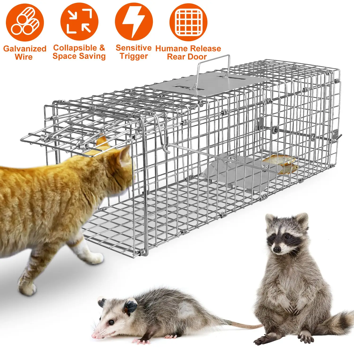 Cat Trap Cage Catch Release Live Animal Rodent Foldable Galvanized