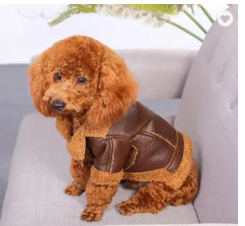 Punk Leather Sweater Dog Autumn And Winter Clothes Coffee - Shop at LoveMi