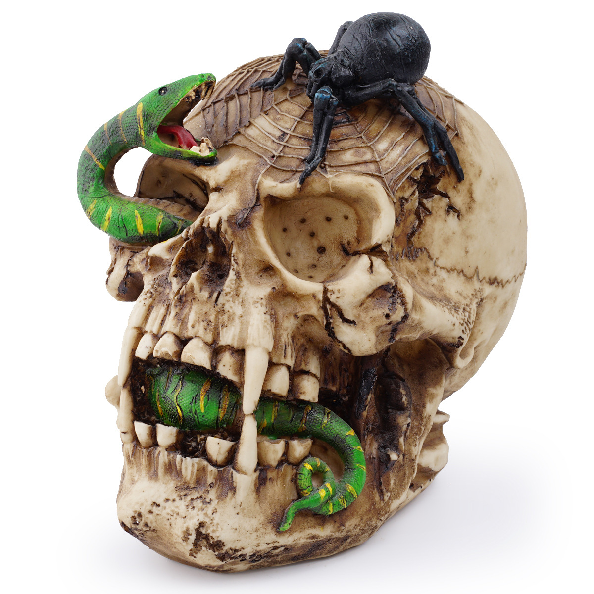 Resin skull human animal skull snake ornament halloween