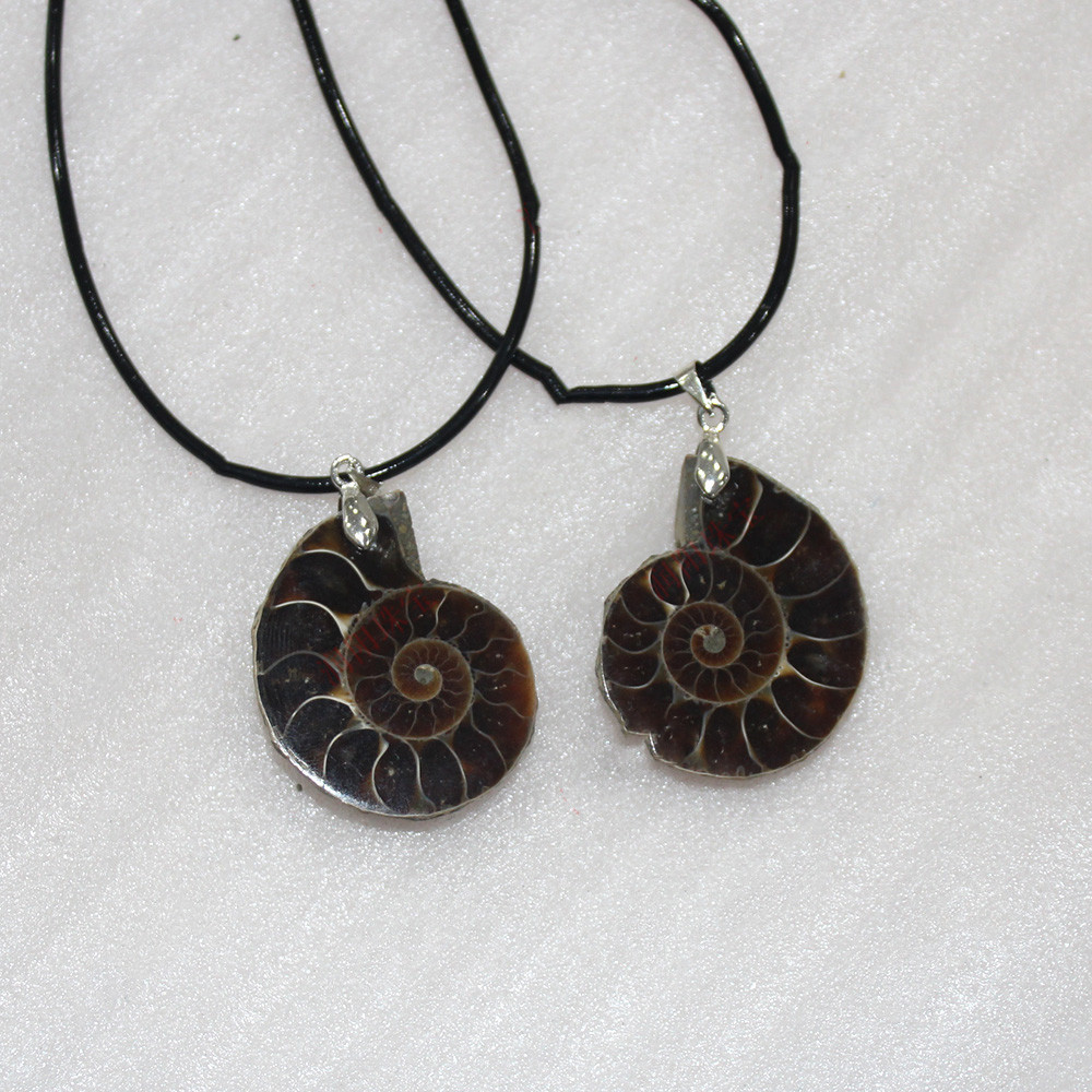 Natural Conch Fossil Pendant Necklace (One pretending.)