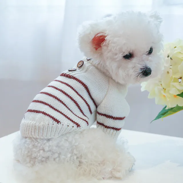 Dog And Cat Warm And Warm Two piece Clothing Coffee - Shop at LoveMi