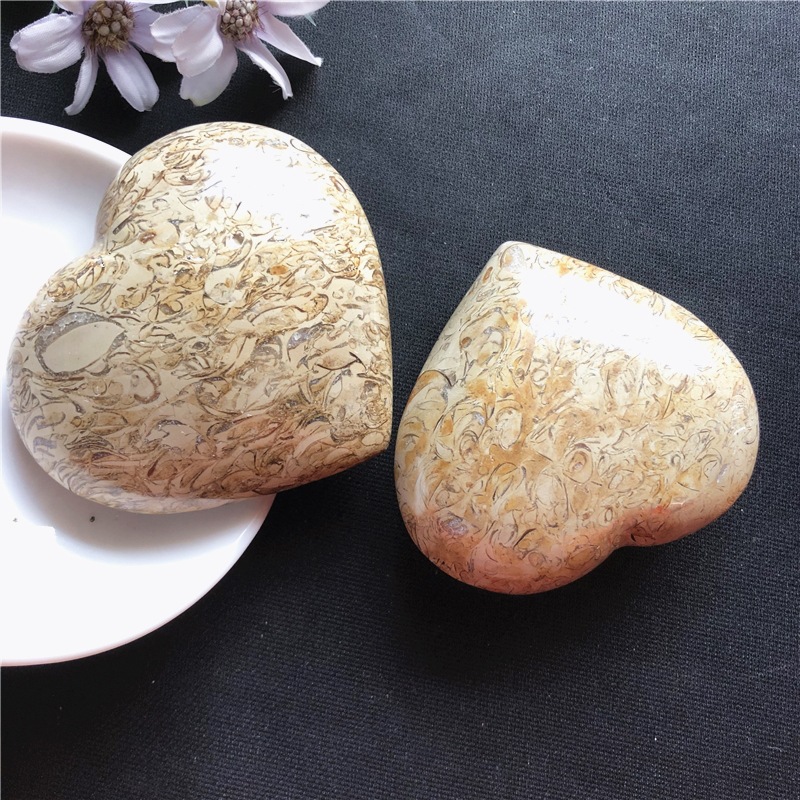 Dinosaur bone fossil love ornament
