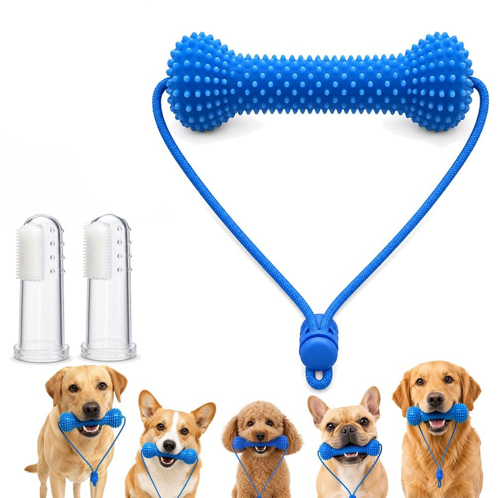Juguete Dental Mordedor para Perros