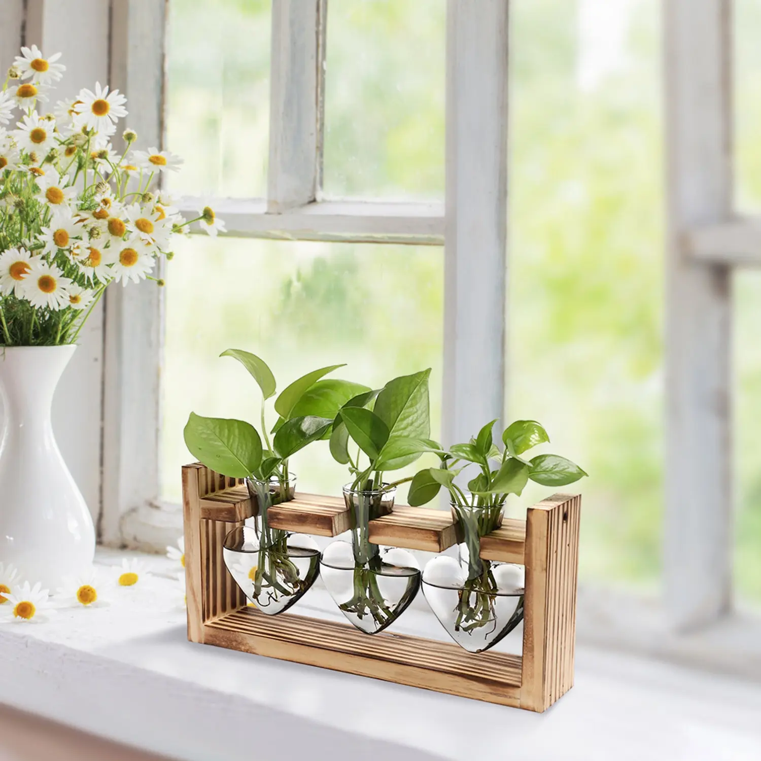 Plant Terrarium Propagation Station