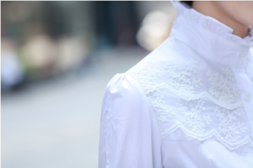 Title 4, OL Commuter Lady Lace Long Sleeve Blouse