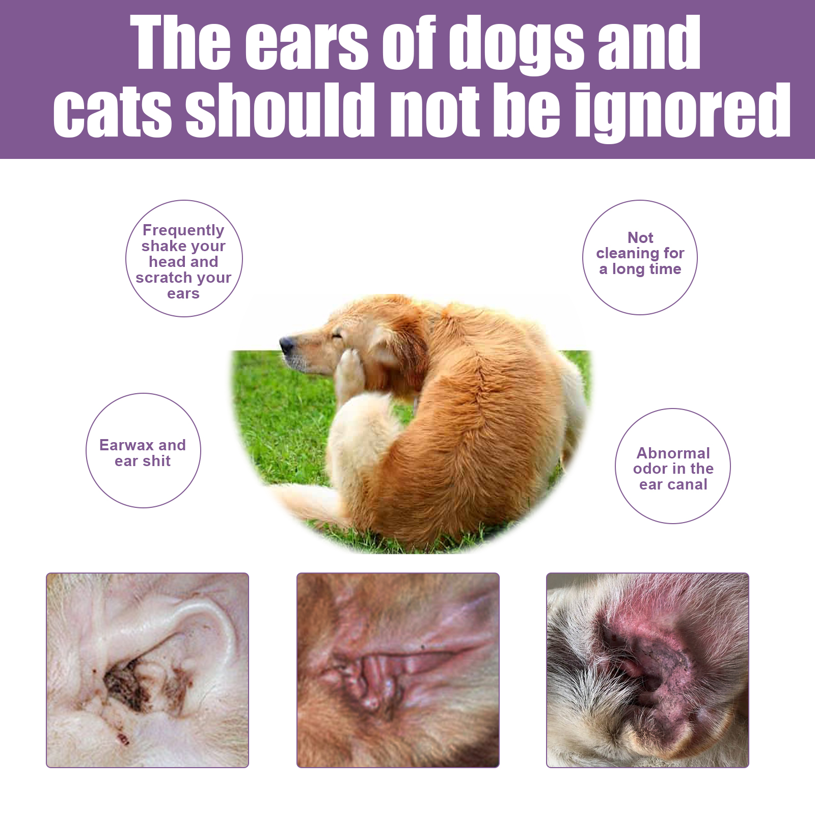 118ml Pet Ear Rinse Cleaner With Glycerin & Disodium EDTA, Anti-Itch Antimicrobial Ear Wash For Dogs Cats, Alcohol-Free Gentle Ear Cleanser With Cotton Swabs — foto 6