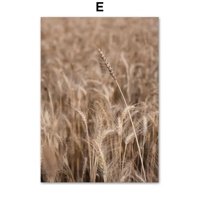 Natural Landscape Plant Wheat Reed Decorative Canvas Painting - Shop at LoveMi