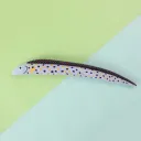 Polka Dot Flower Eel