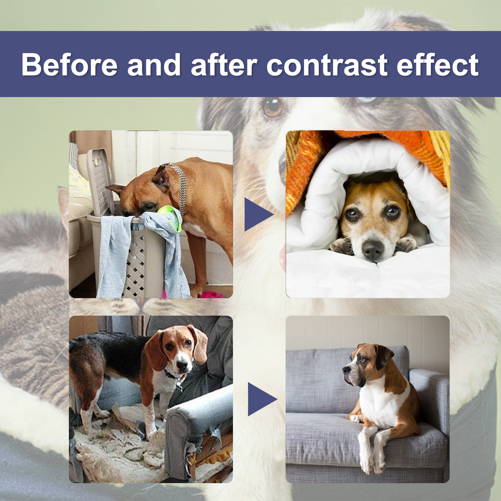 Spray To Prevent Dogs From Chewing Tables, Chairs And Legs From Scratching The Sofa