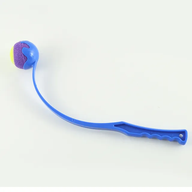 Outdoor Pet Throwing Cue Dog Training Toy Blue - Shop at LoveMi