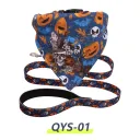 Qys01
